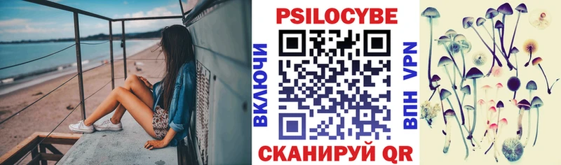 Купить  Пыть-Ях  Галлюциногенные грибы мицелий 
